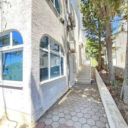 Toni Nv - 30 M From The *